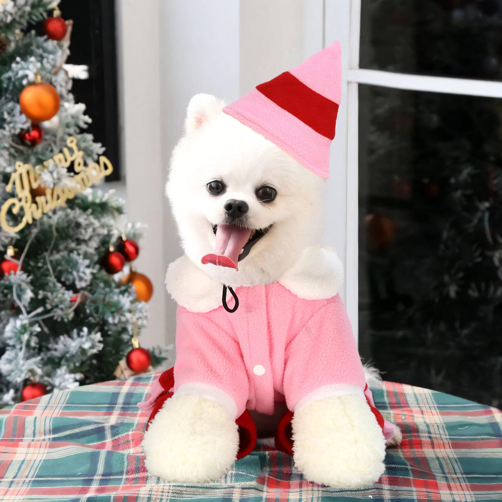 Hladce pet party costume suitable for cats and small breeds.