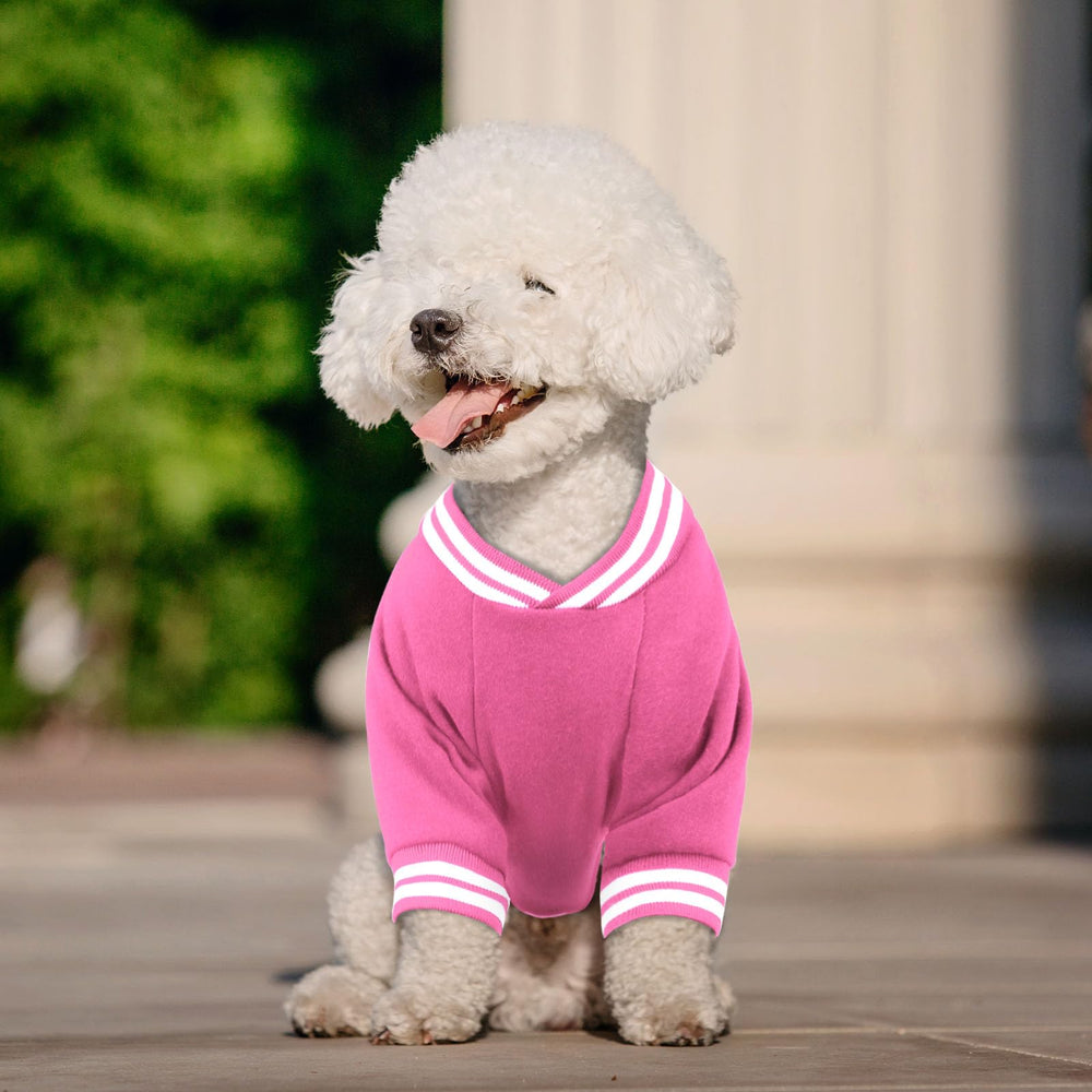 HLJ dog sweater 5 sizes chart emphasizes precise fit for large breeds
