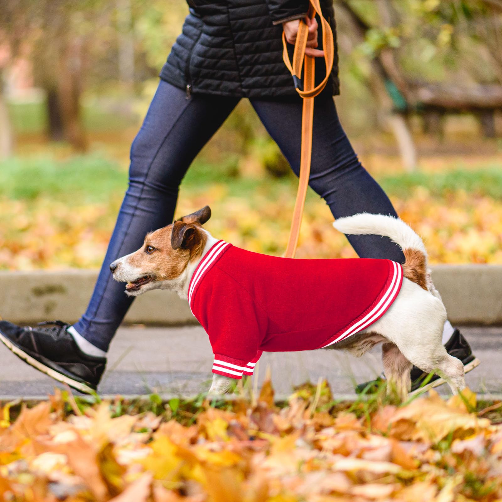 HLJ dog sweater care-friendly fabric suitable for regular wear.