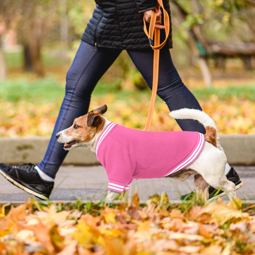 HLJ dog sweater expert craftsmanship supports durable daily wear