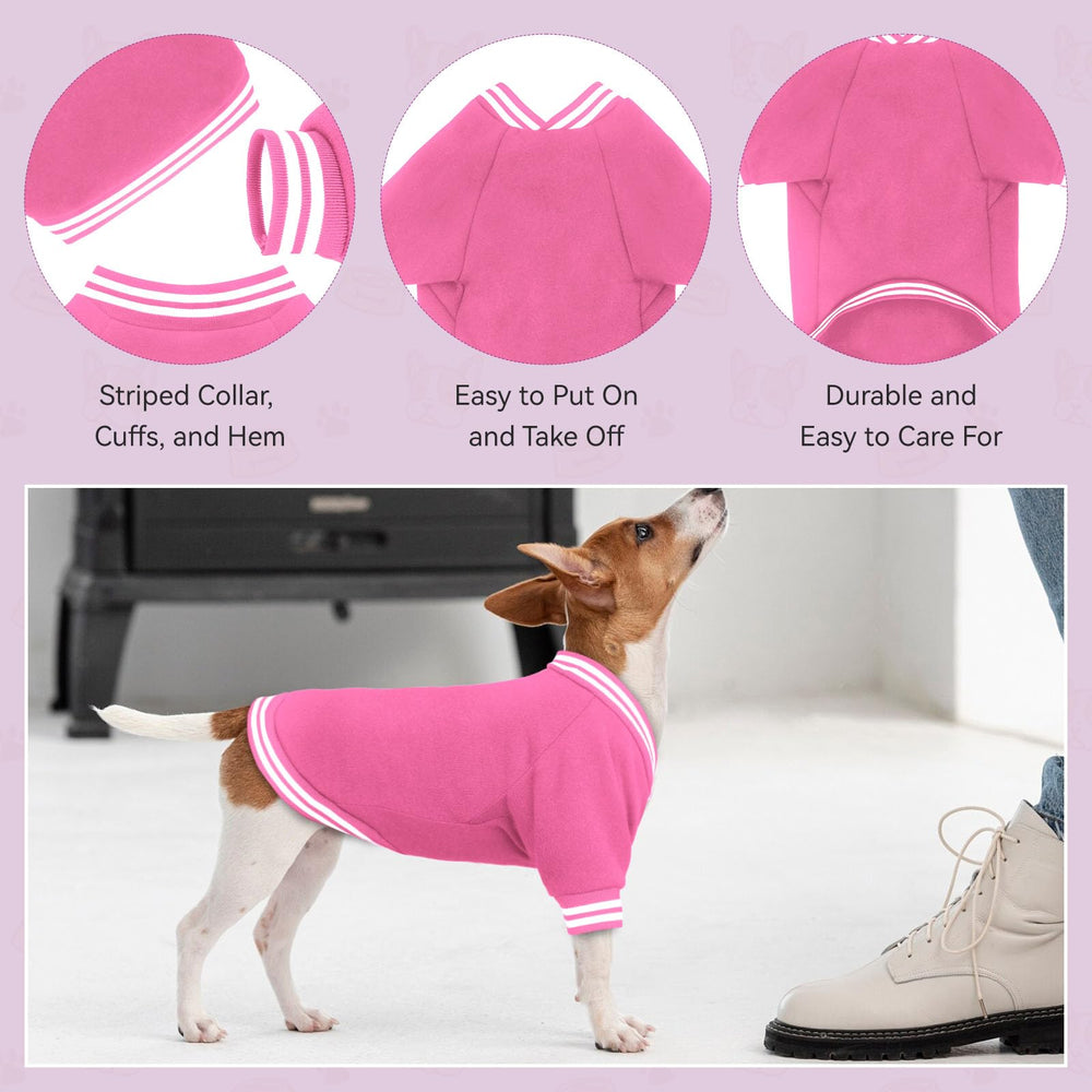 HLJ large-dog sweater showcased during outdoor strolls with cozy warmth