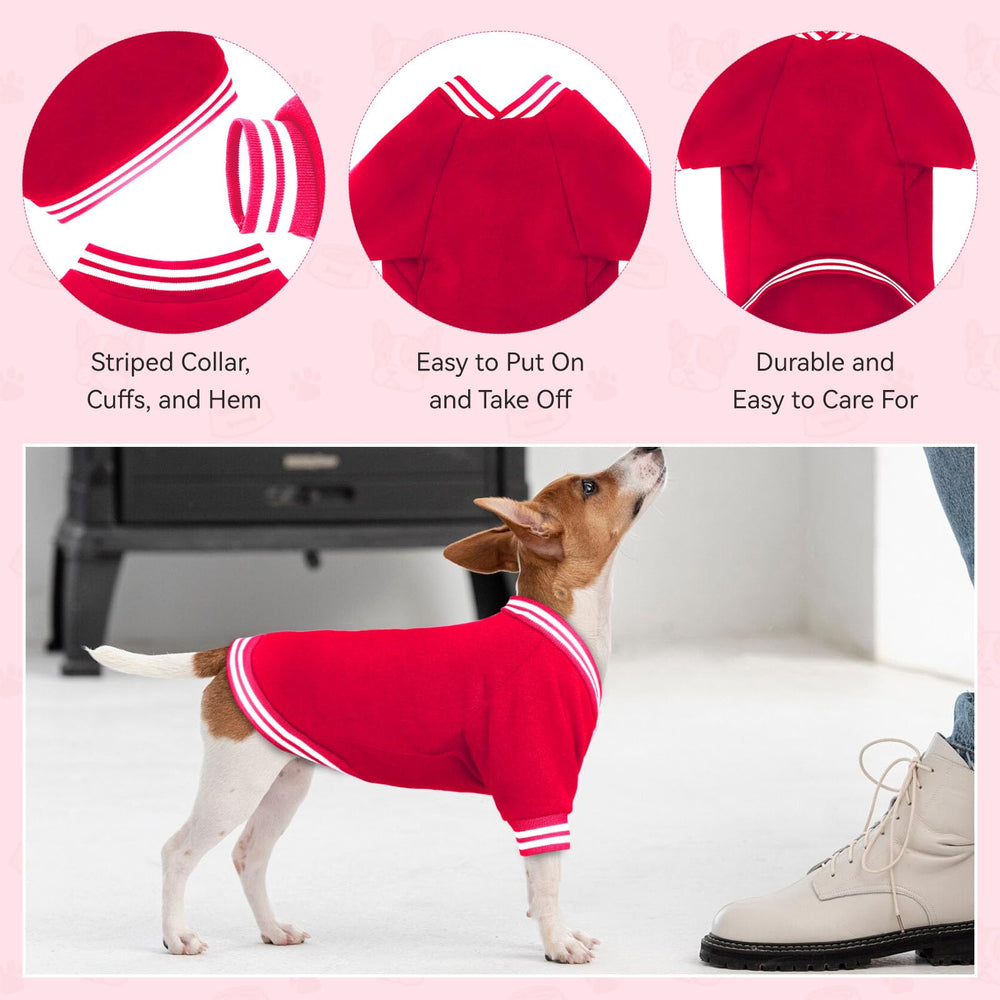 HLJ dog sweater wearable during walks for light, breathable comfort.