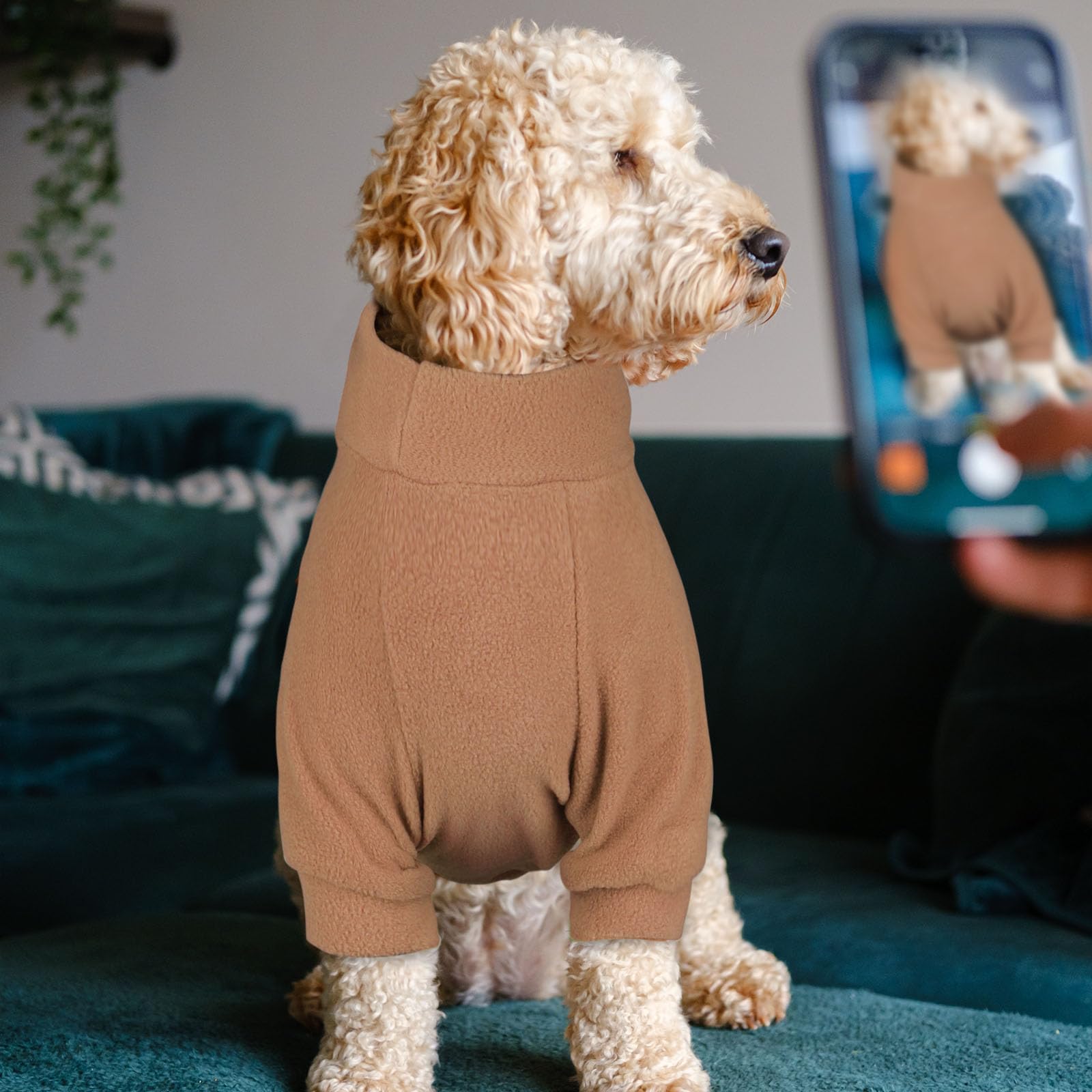 HLJ model in blue and coffee sweaters shows mix-and-match style