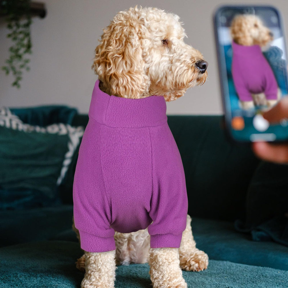 HLJ size-chart guidance image helps ensure accurate dog fit.