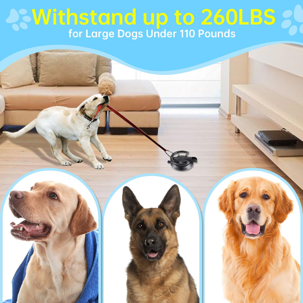 HLOGREE dog bathing suction cup on tile demonstrates strong grip