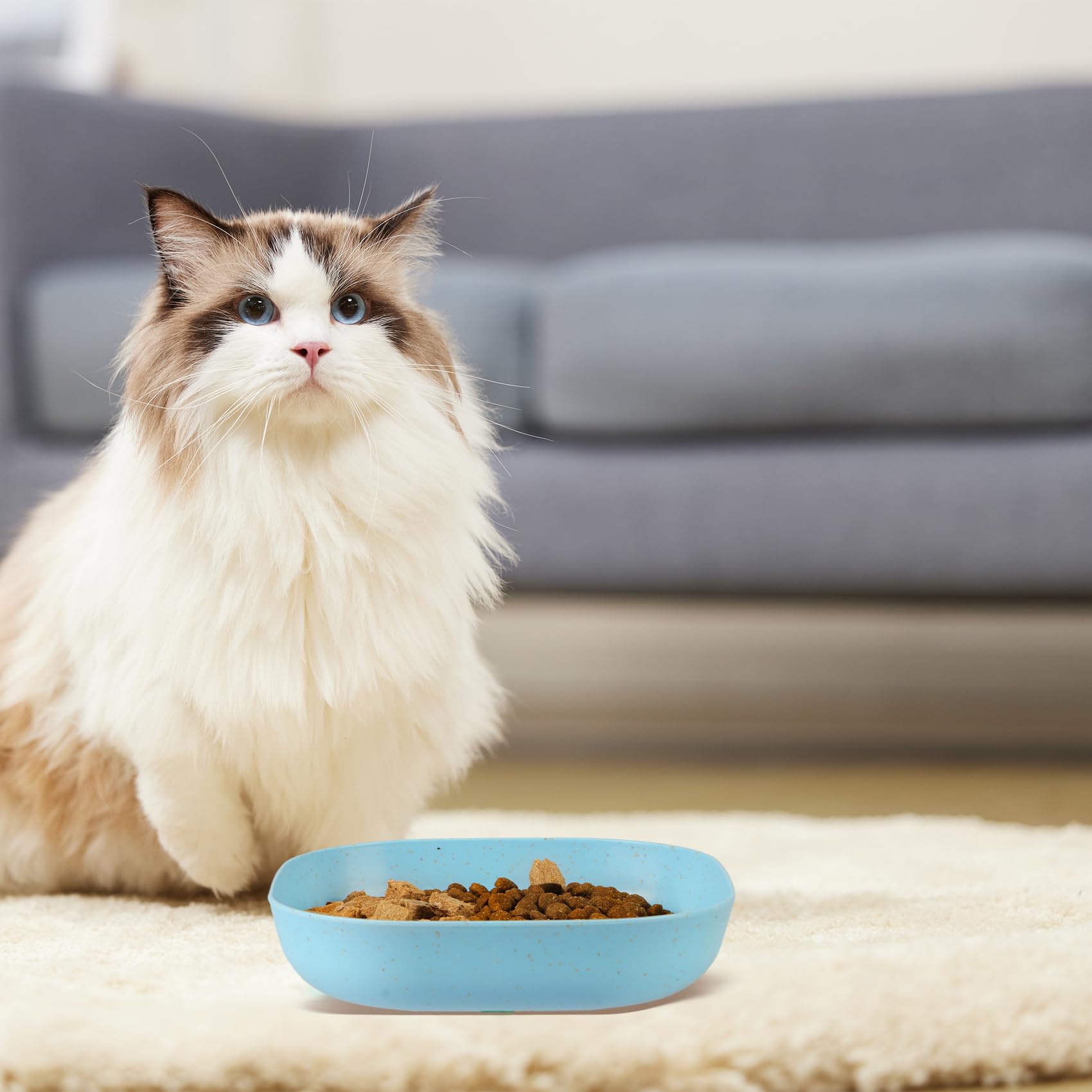 HMDZMR bowls suitable for kittens and small dogs, versatile feeding dish.