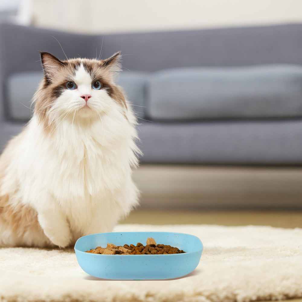 HMDZMR bowls suitable for kittens and small dogs, versatile feeding dish.
