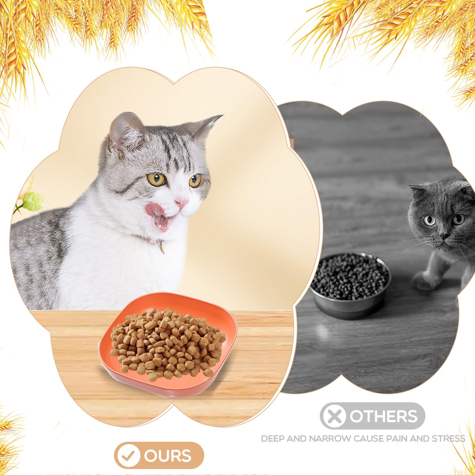 HMDZMR cat bowls easy-clean microwave-safe surfaces simplify feeding cleanup.