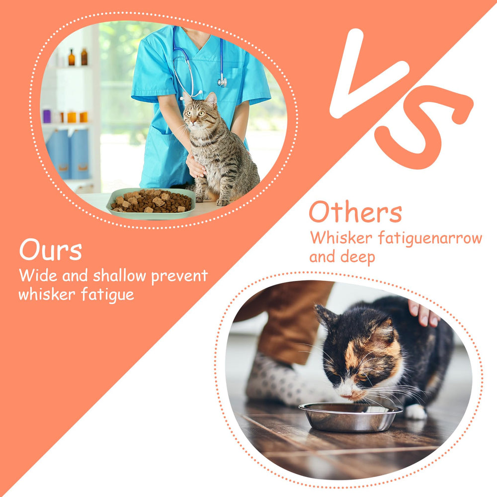 HMDZMR dishwasher-safe cat bowls simplify cleanup after meals.