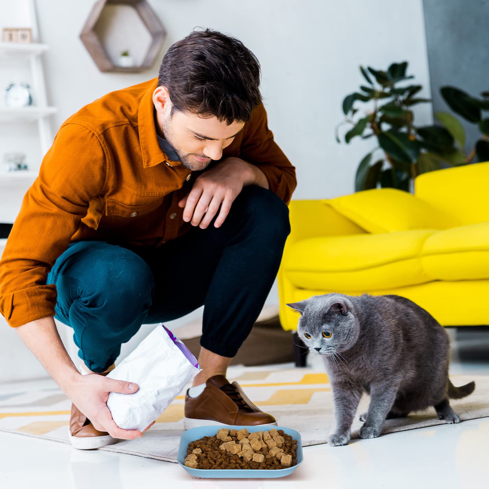 HMDZMR low-wide opening cat bowl eases feeding and simplifies bowl cleaning.