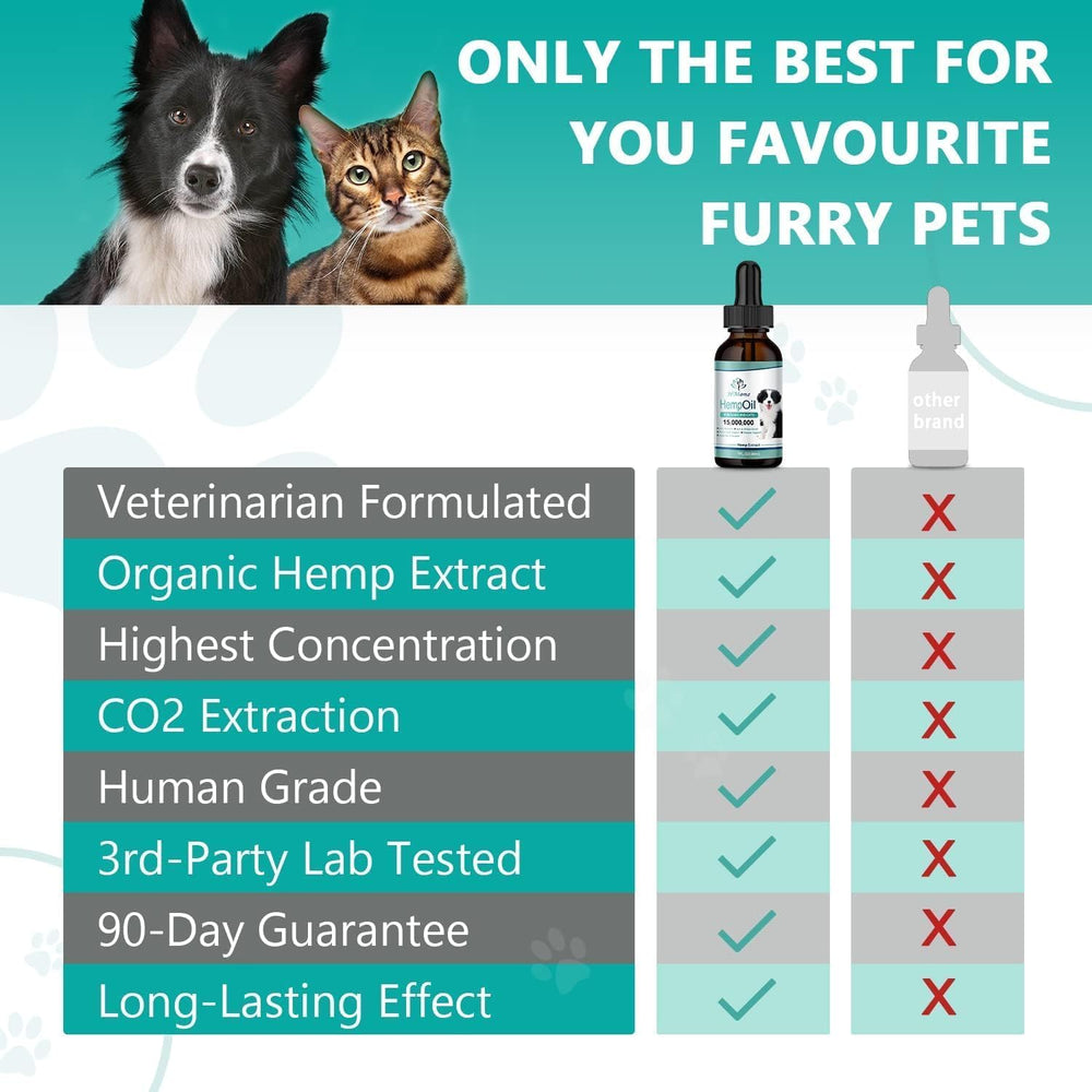 HMone hemp oil drops for a content cat supporting gentle relaxation