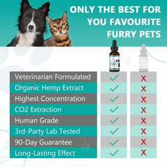 HMone hemp oil drops for a content cat supporting gentle relaxation