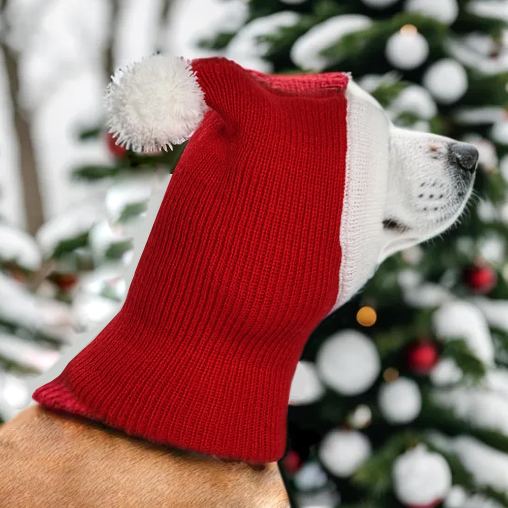 Hmxpls Christmas dog knitted hat machine washable care for easy reuse.