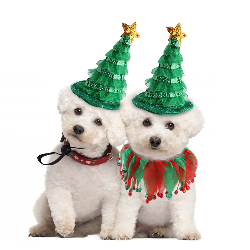 Hmxpls bundle costume creates cohesive holiday look for cats and small dogs