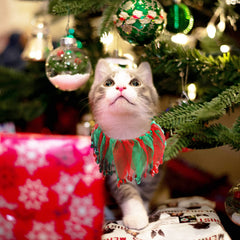 Hmxpls elastic collar with diamonds offers charming pet wear