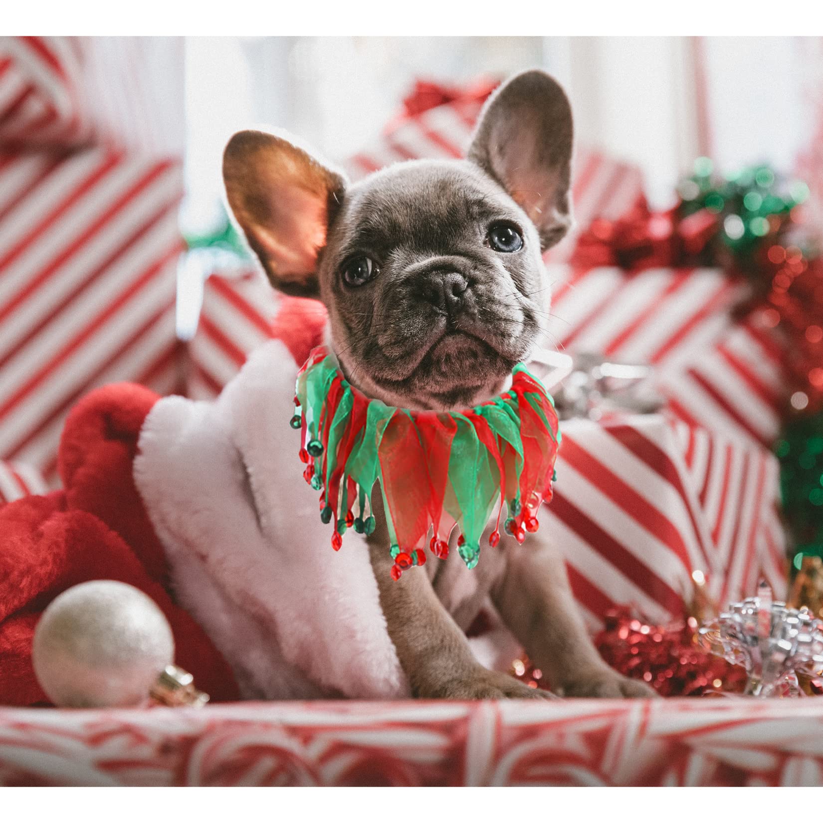 Hmxpls pet christmas costume set ideal for photoshoots and parties