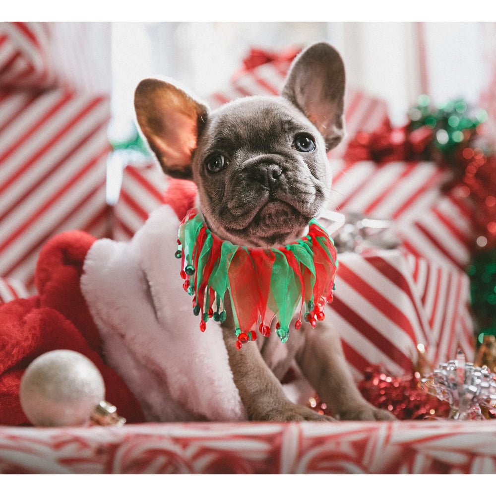 Hmxpls pet christmas costume set ideal for photoshoots and parties