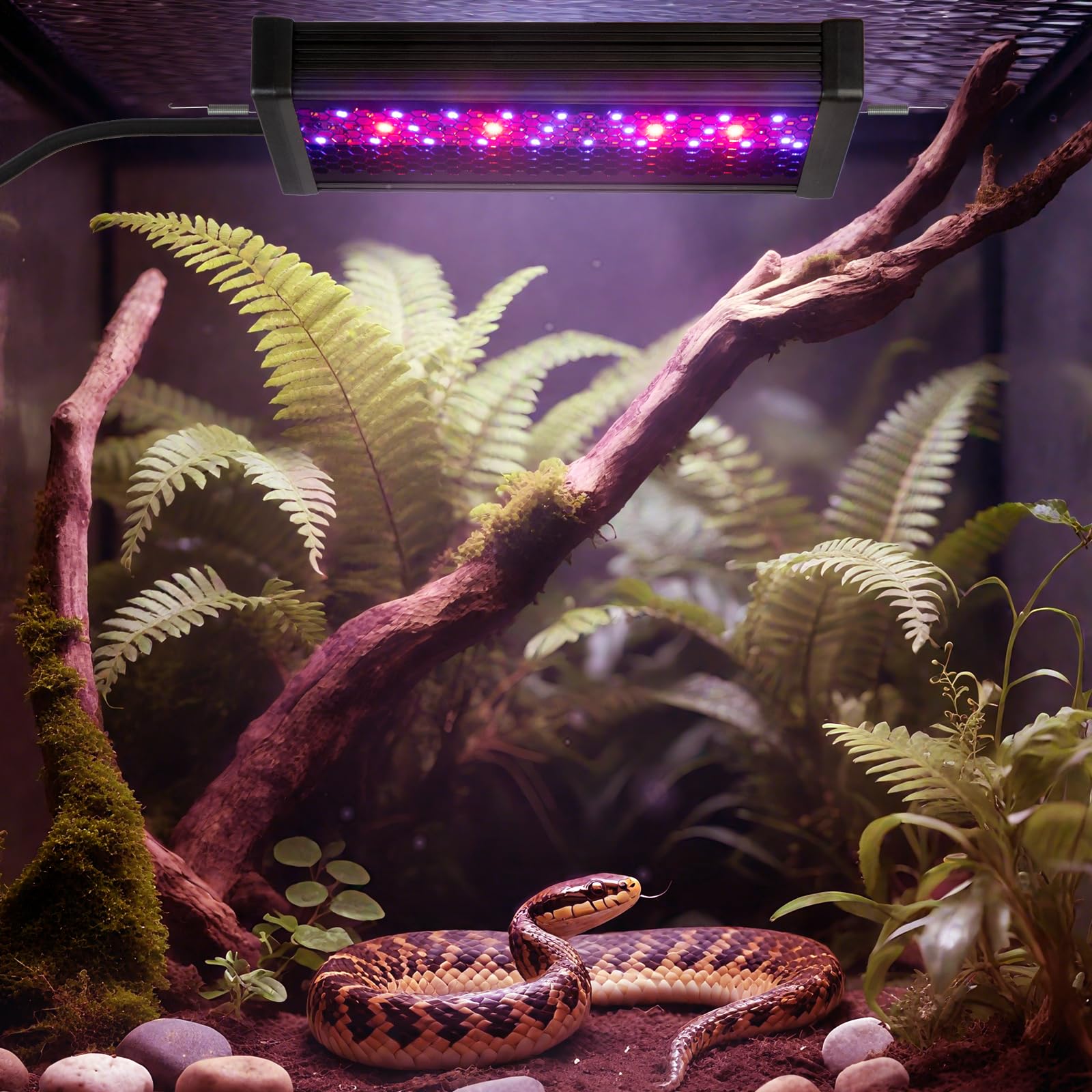 HNRLOY uvb light in reptile habitat demonstrates habitat-ready setup.