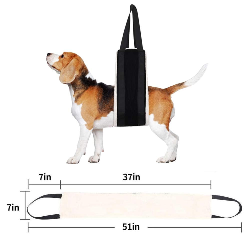 HNYG dog sling featuring durable oxford fabric during lifting and daily use
