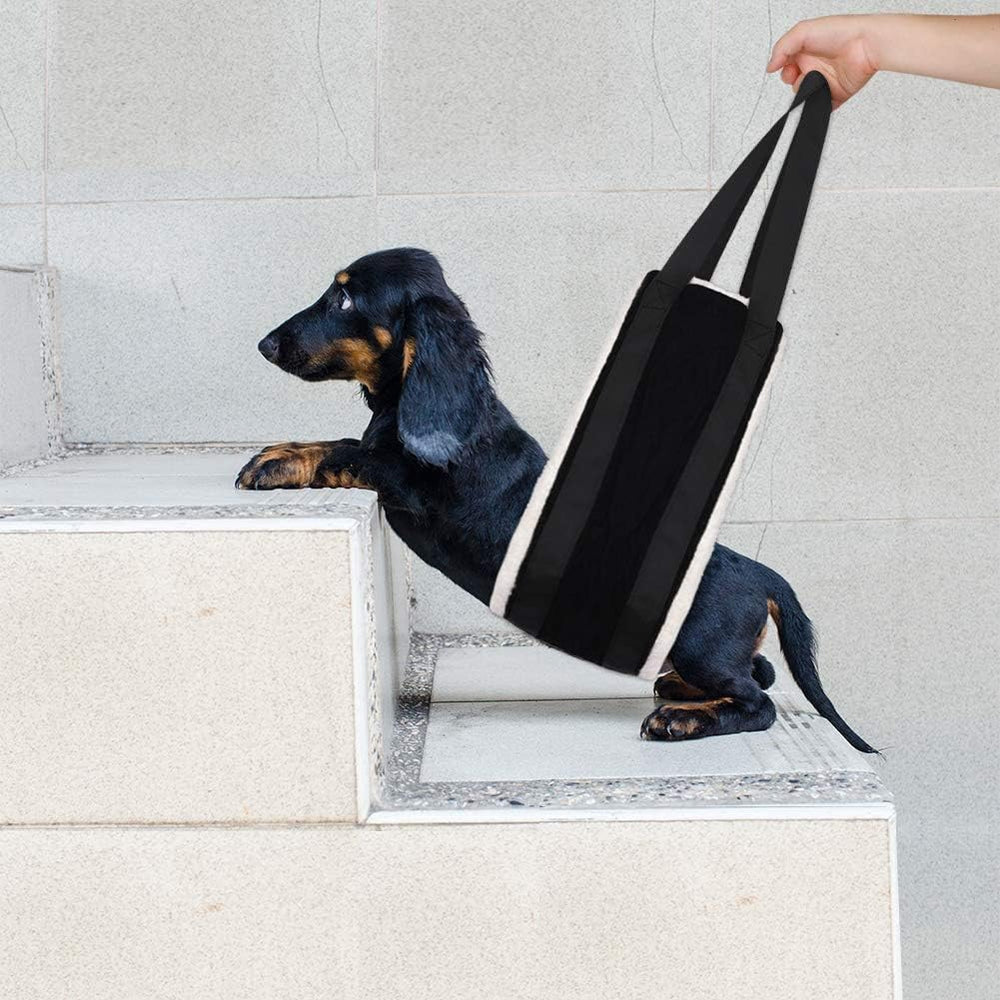 HNYG dog harness aids getting into car and furniture access
