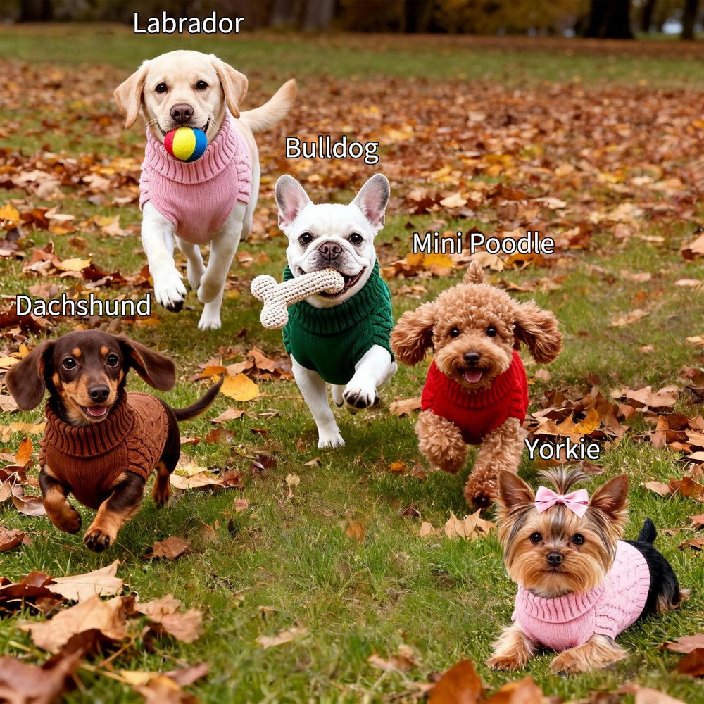 Hó Pêng-iú dog sweater pink front view shows cozy everyday wear