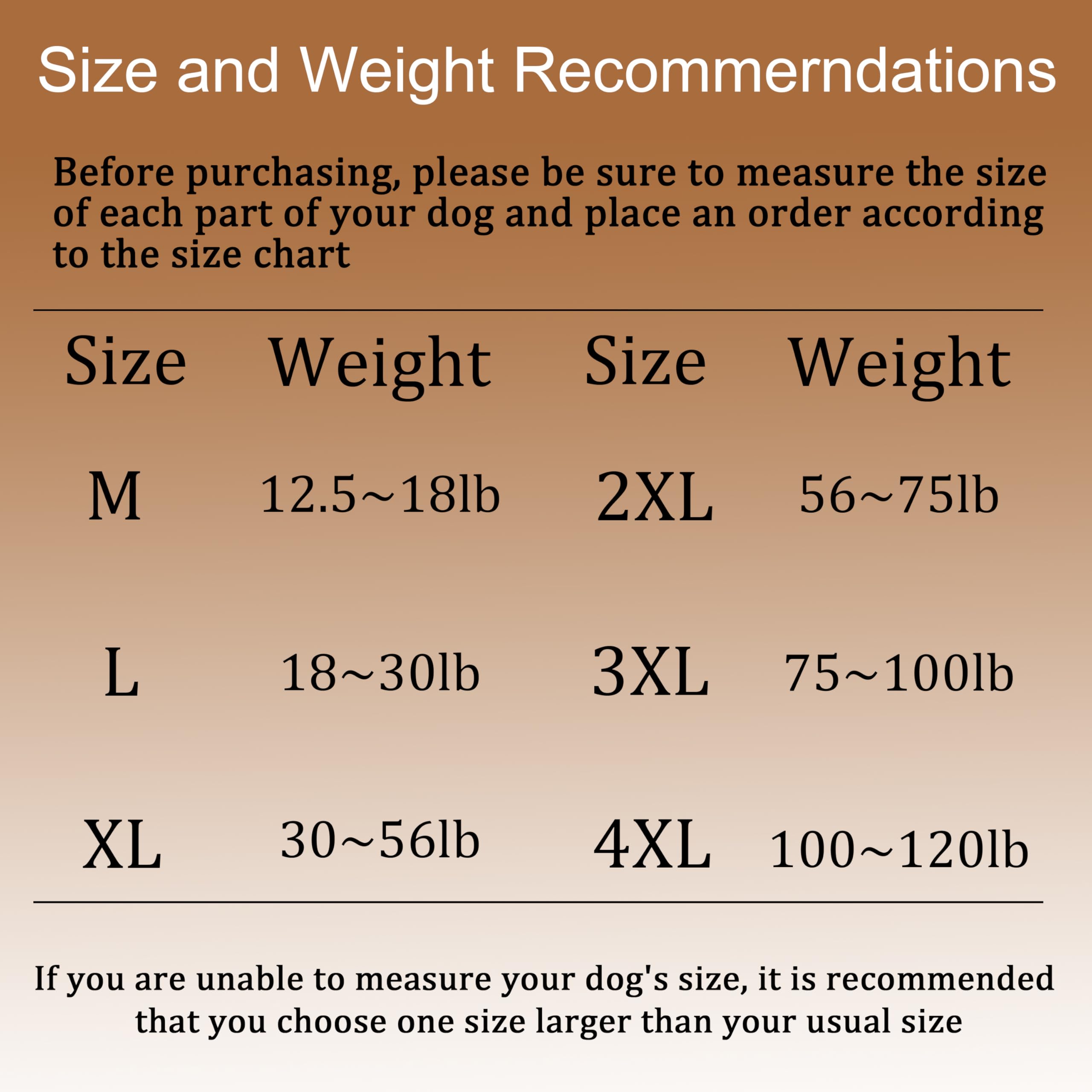 Hó Pêng-iú size chart image helps you pick the right fit
