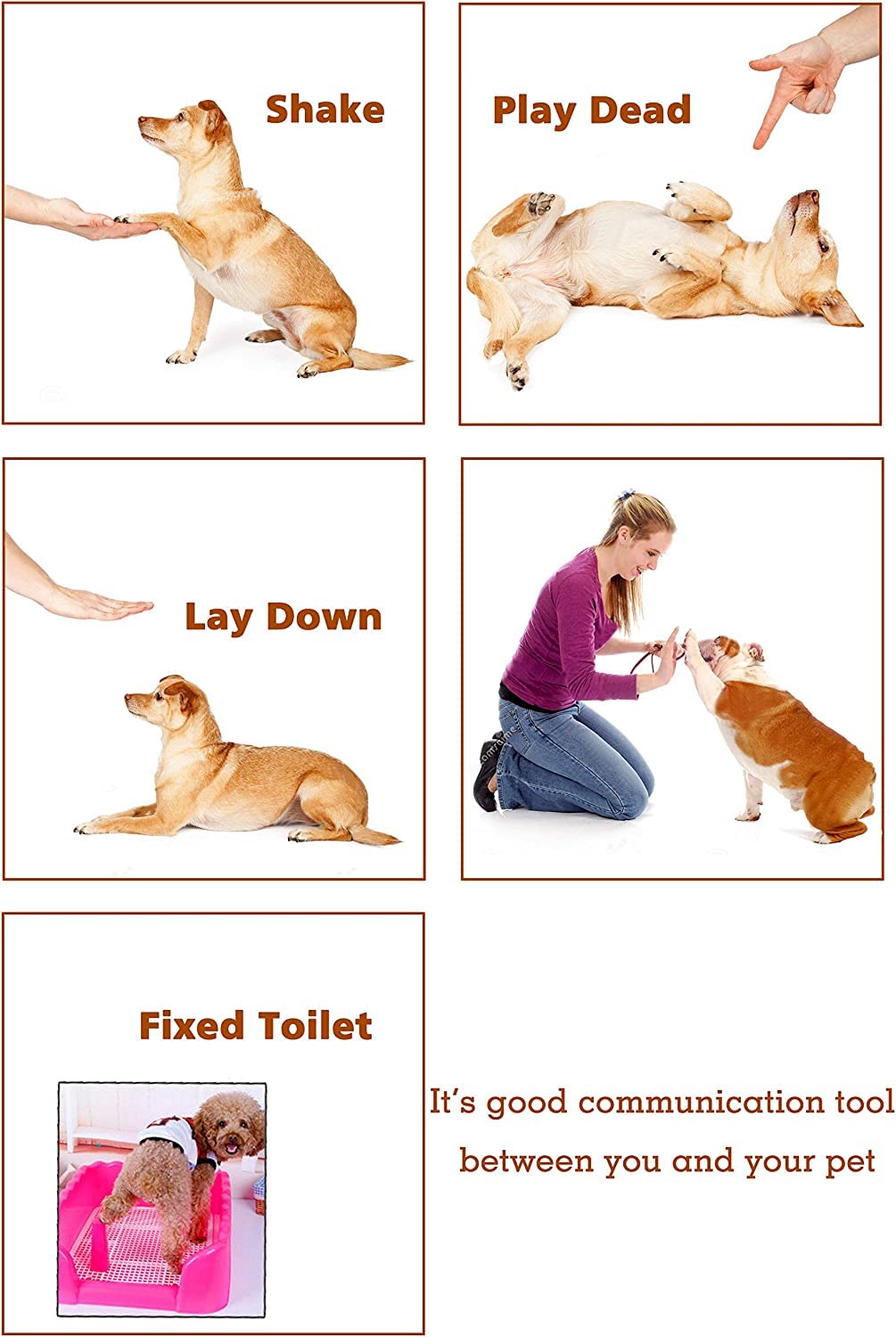 HoAoOo two-clicker set used during dog training and behavior shaping.