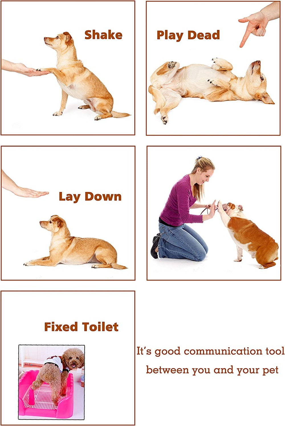 HoAoOo two-clicker set used during dog training and behavior shaping.