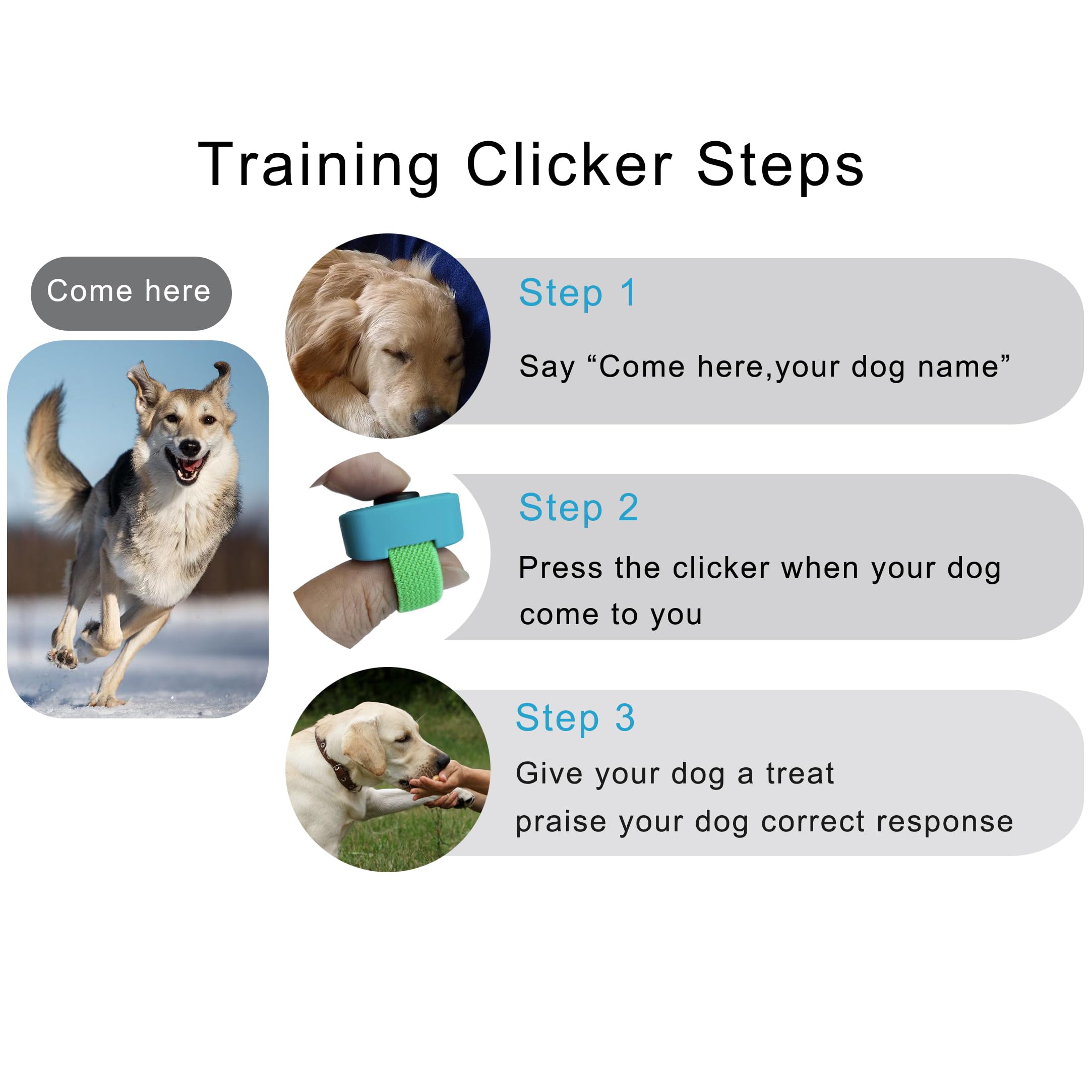 HoAoOo finger clicker dog training cueing in action