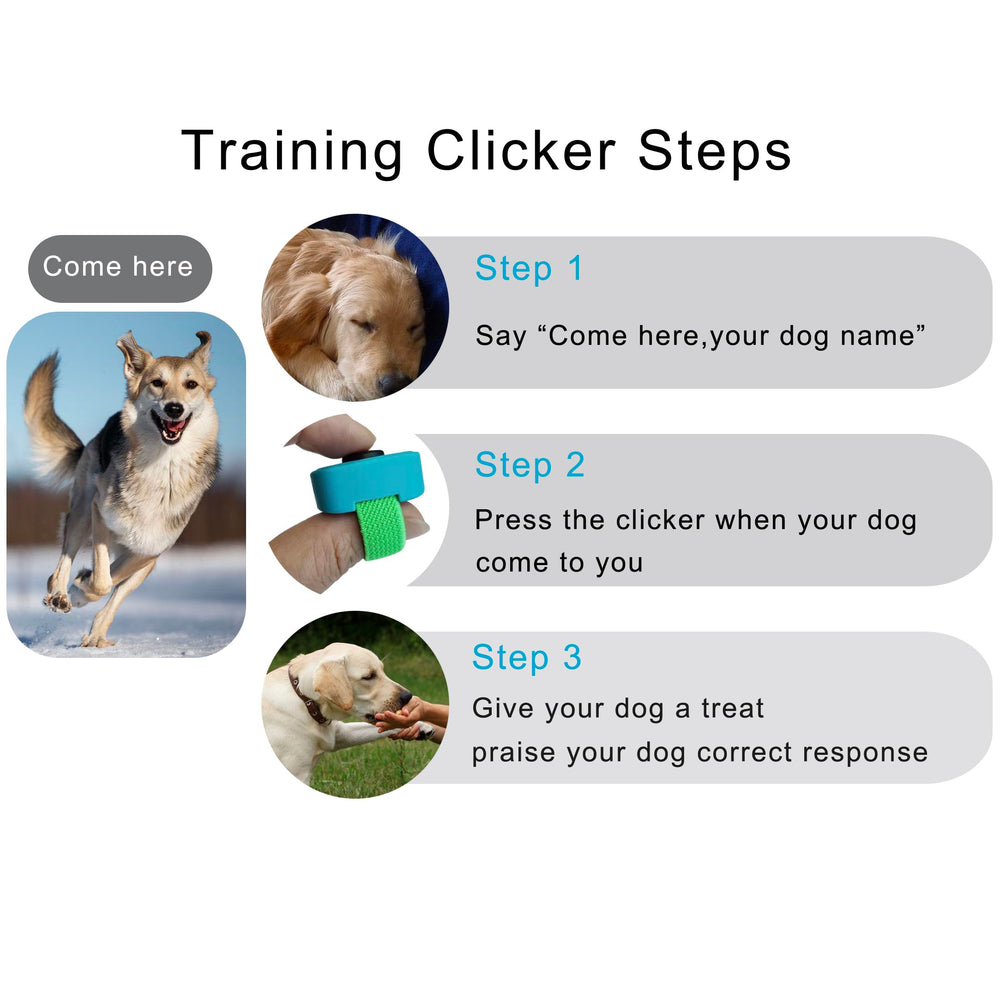 HoAoOo finger clicker dog training cueing in action