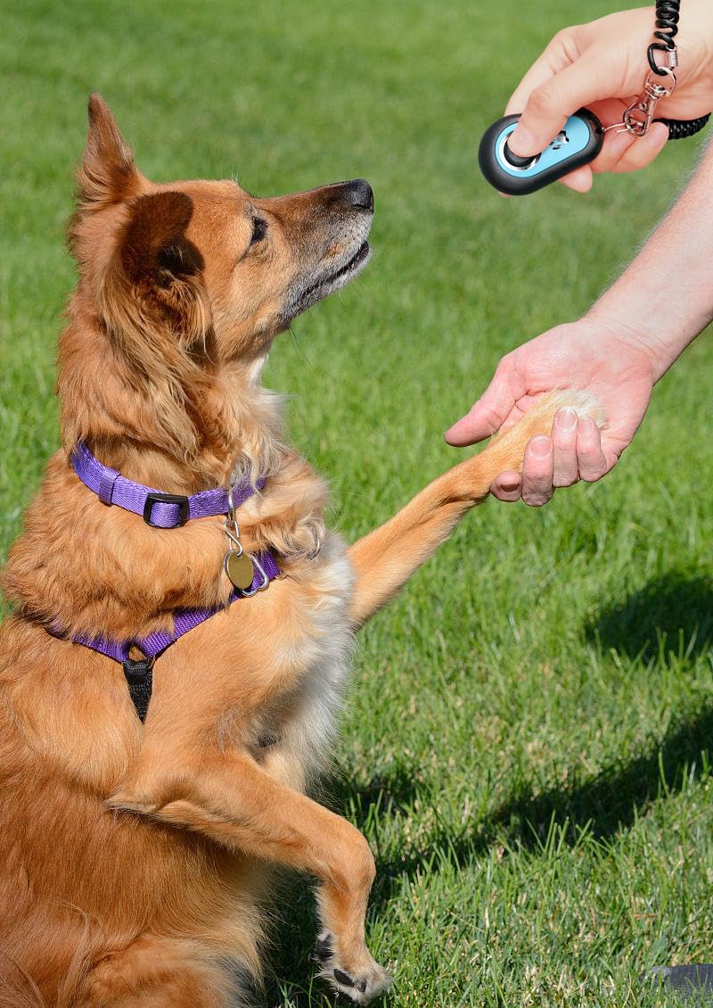 HoAoOo pet clicker big button enables easy one-handed clicking.
