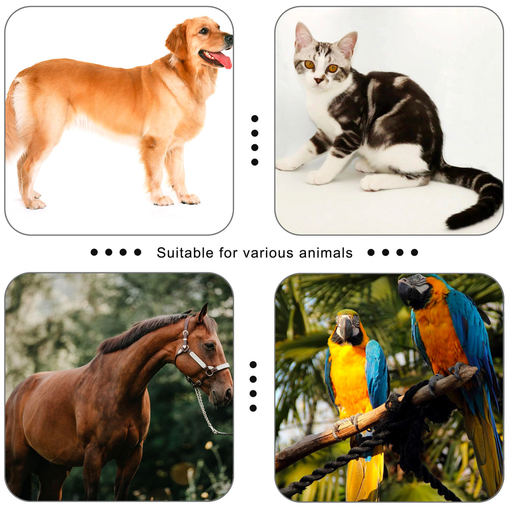 HoAoOo pet clicker used during cat training session.