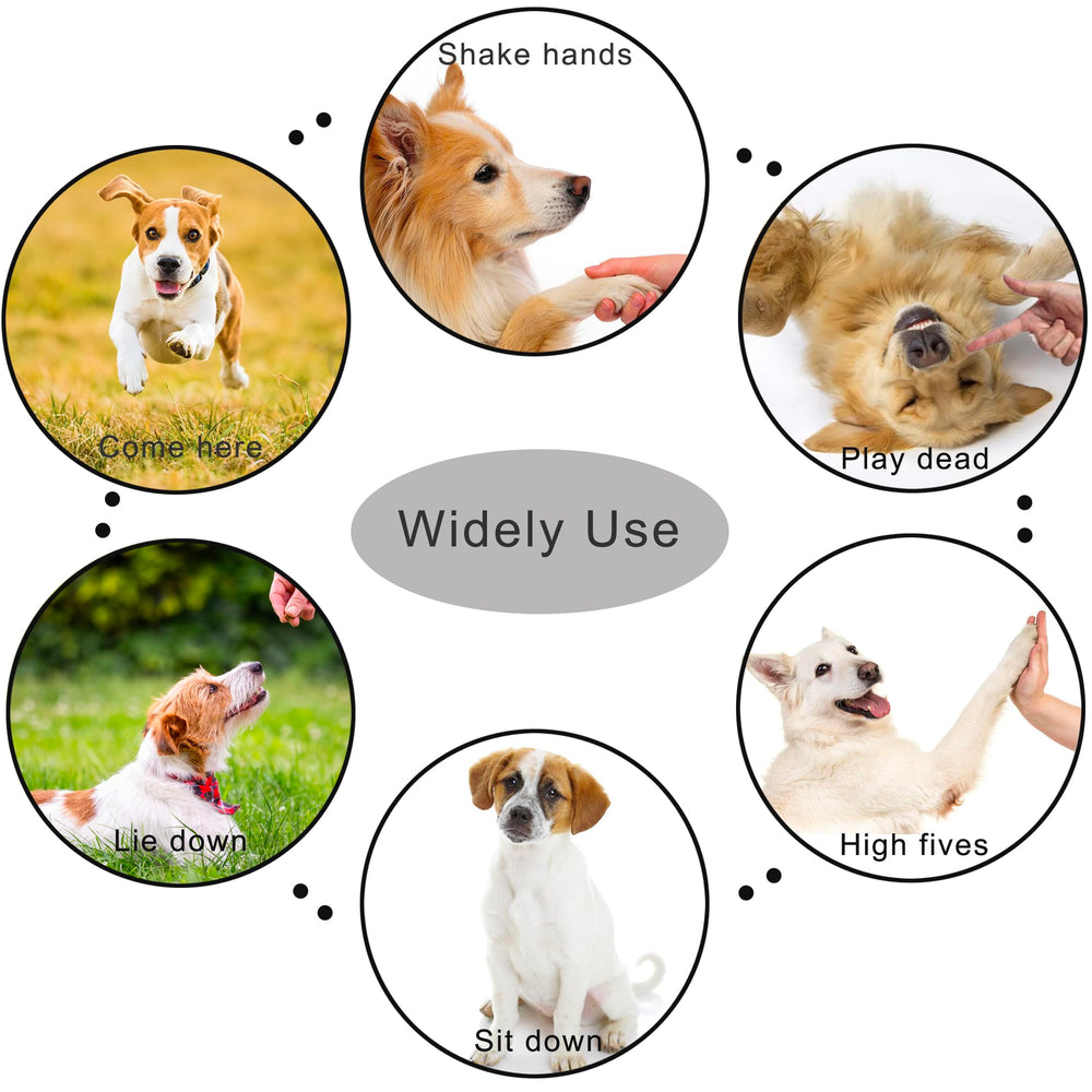 HoAoOo pet clicker shown for horses and birds versatility.
