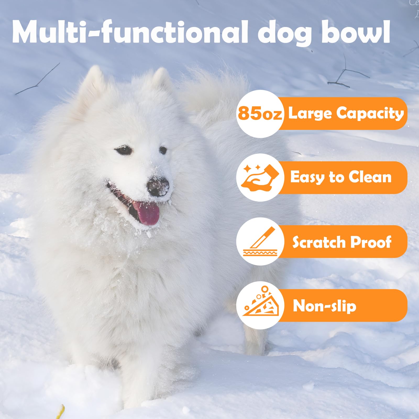 hodzumrac 6-foot anti-chew cord enhances pet safety outdoors