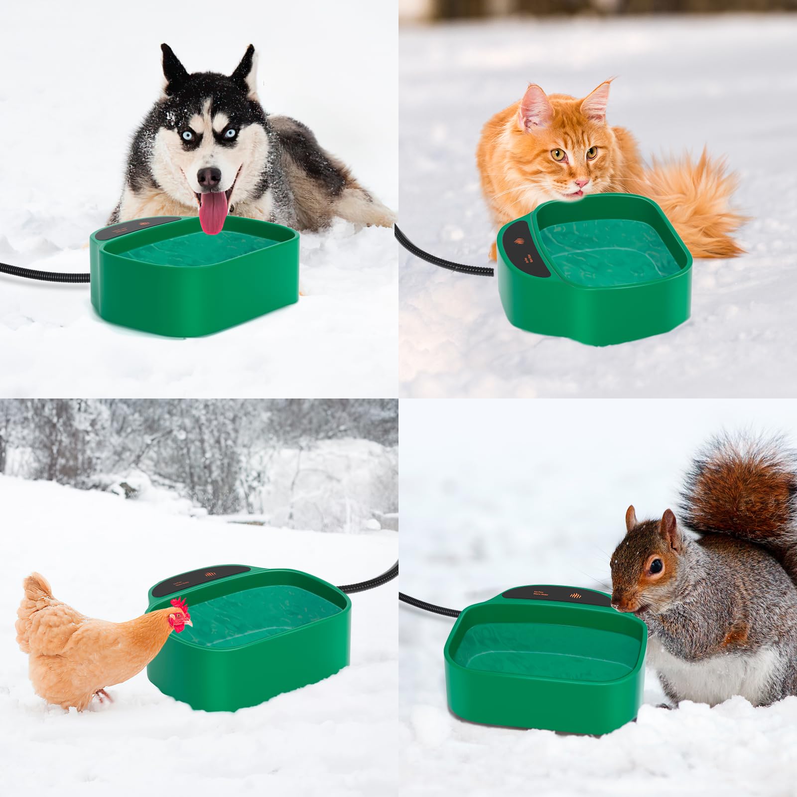 hodzumrac winter-use setup in sheltered spot to reduce wind exposure