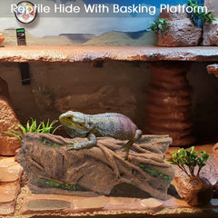 Hoeine textured exterior aids climbing and exploration for reptiles.