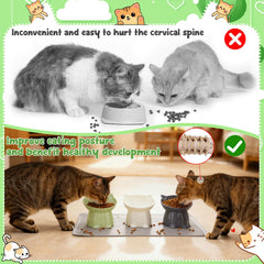 Hoemwarm cat bowls with silicone mat to prevent spills.