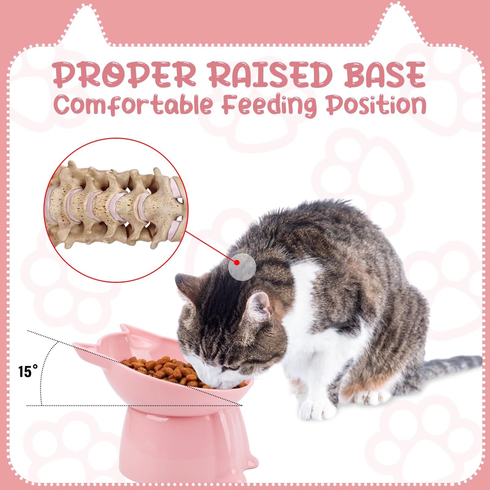 Hoemwarm elevated bowls set adds color and organized feeding for multi-cat homes.