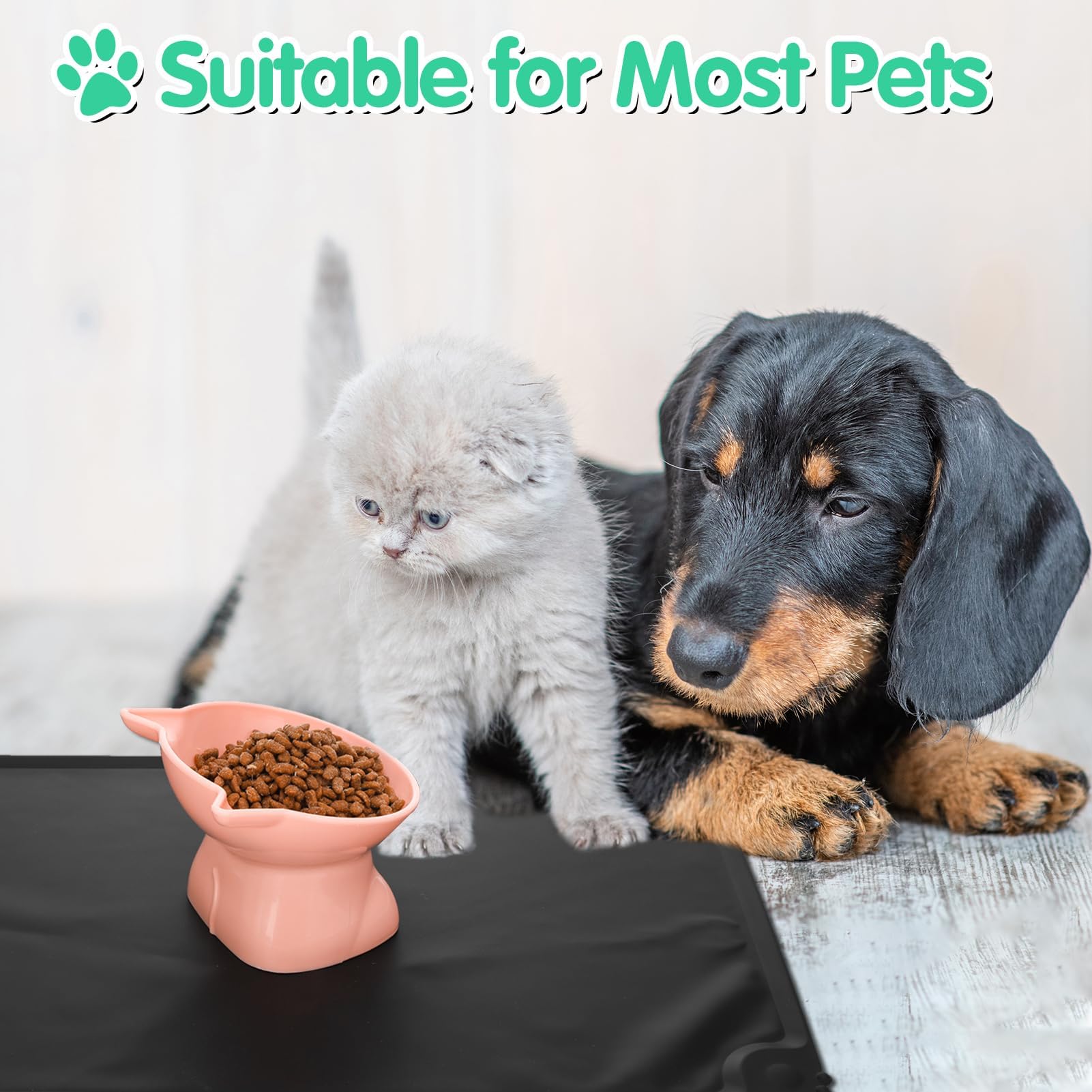 Hoemwarm elevated bowls for multi-cat dining and varied meals