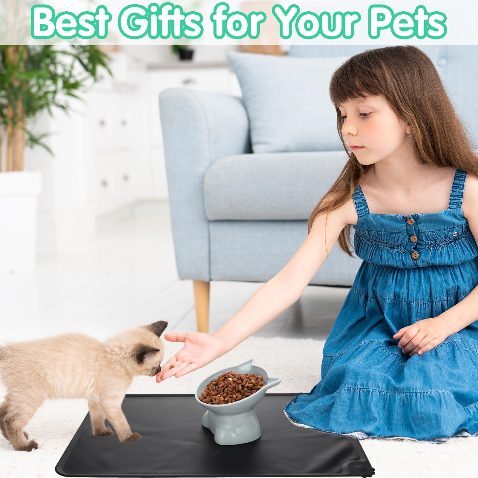 Hoemwarm elevated bowls suitable for indoor cats and small dogs