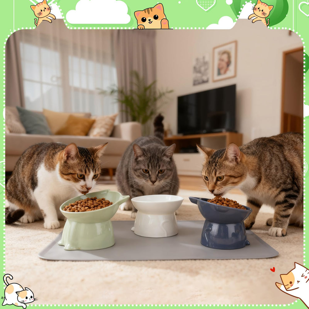 Hoemwarm multi-pet dining set suits homes with cats and small dogs.
