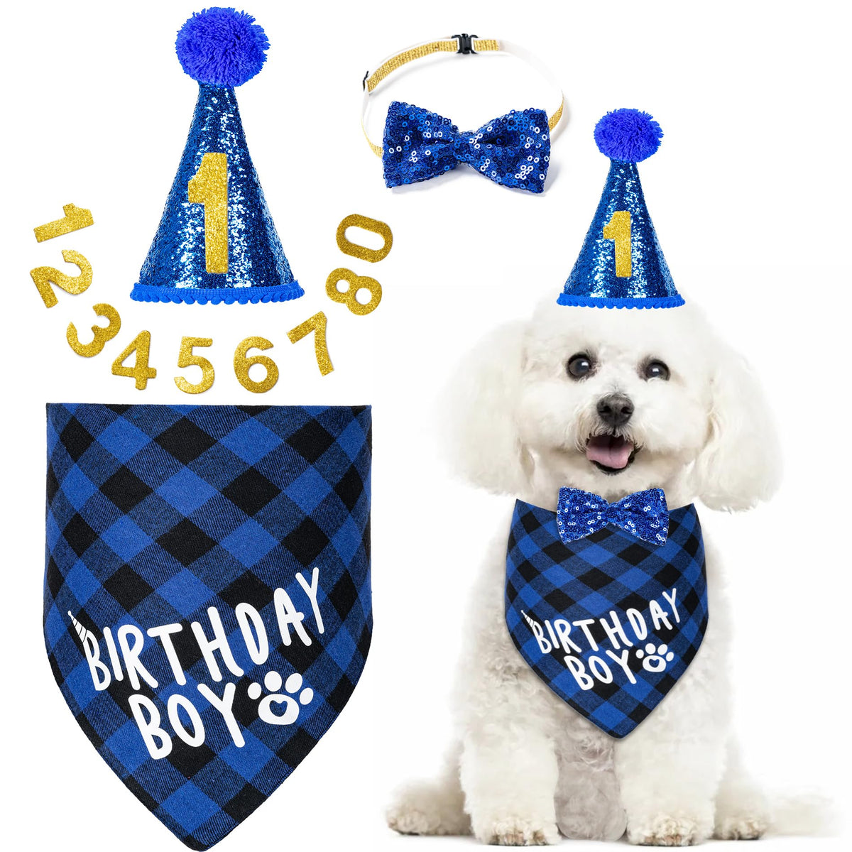 Hoewina dog birthday hat with numbers for photo-ready party moments