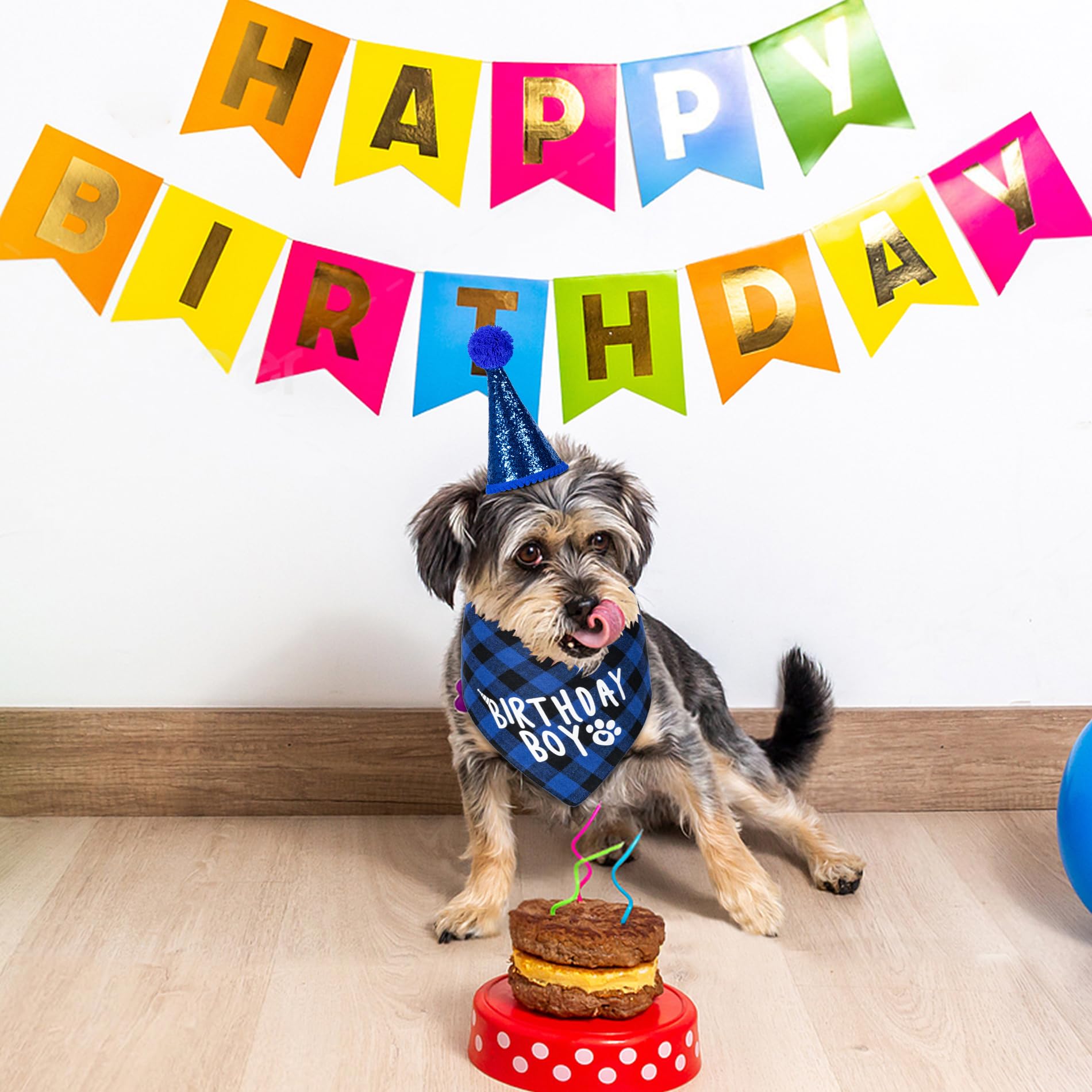 Hoewina birthday party set creates coordinated dog-cat celebration visuals