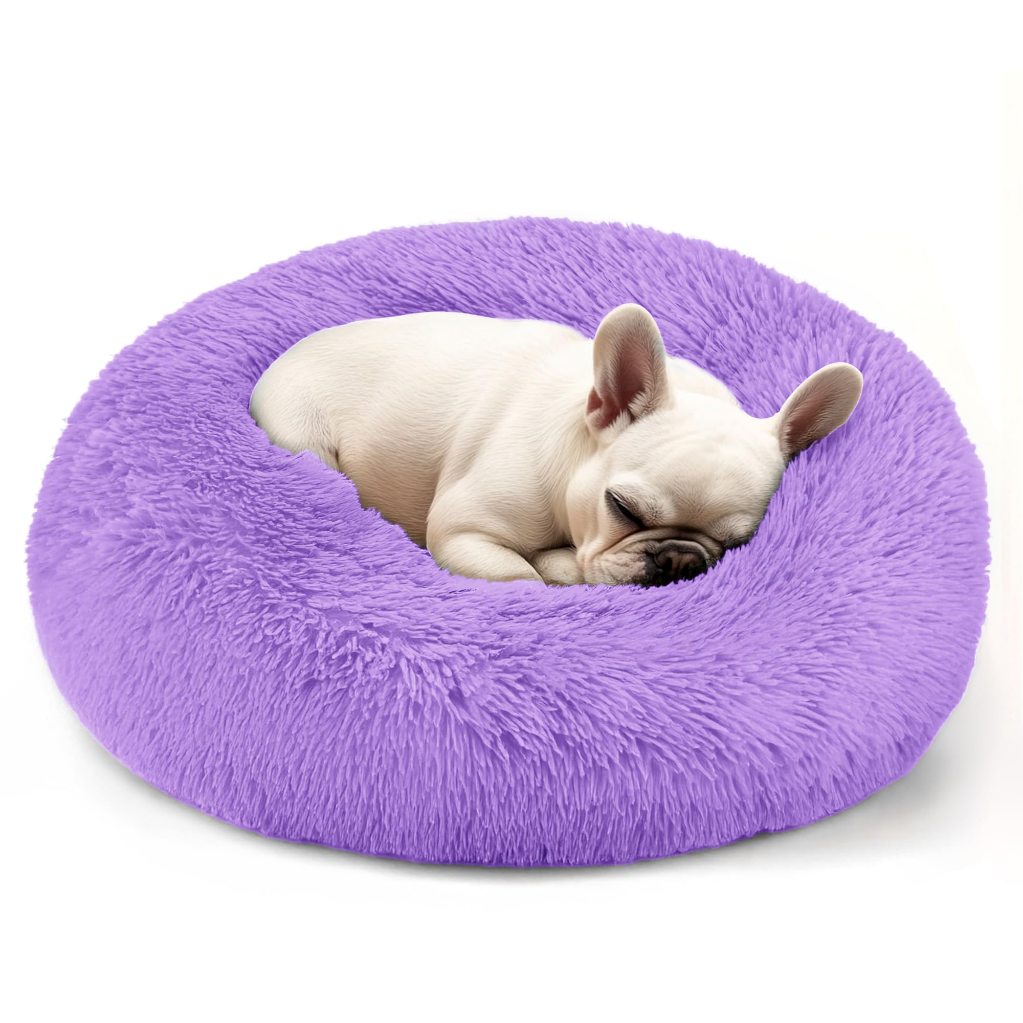 Hoewina round dog bed with raised edges supports head and neck for small dogs.