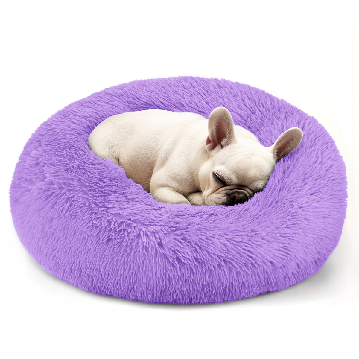 Hoewina round dog bed with raised edges supports head and neck for small dogs.