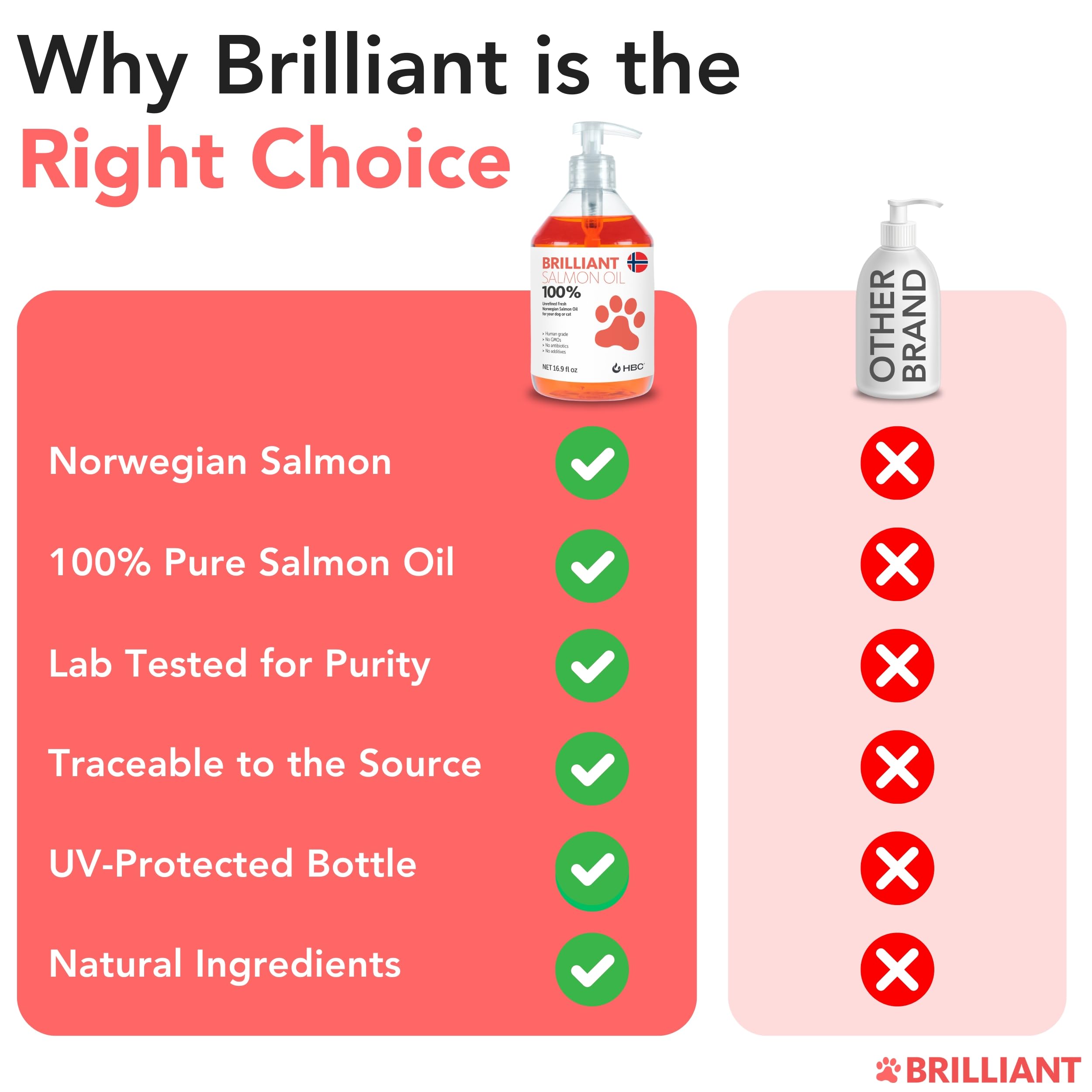 Hofseth Biocare Salmon Oil for Dogs coat shine after regular feeding