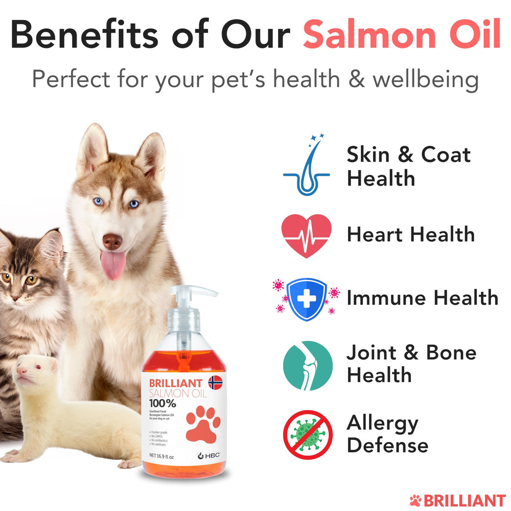 Hofseth Biocare Salmon Oil for Dogs pour nozzle for easy dosing into meals