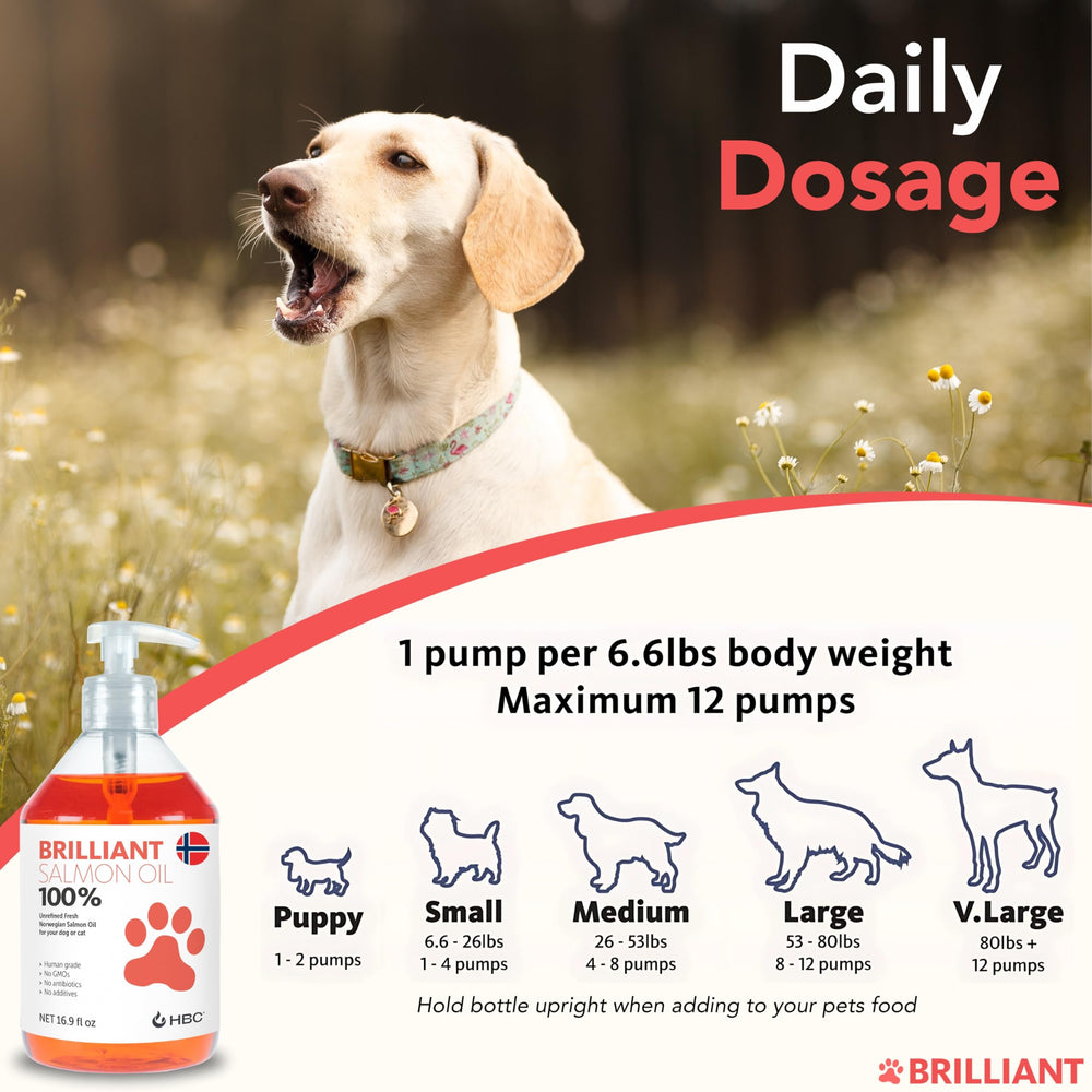 Hofseth Biocare Salmon Oil ingredients panel highlights omega-3 sources