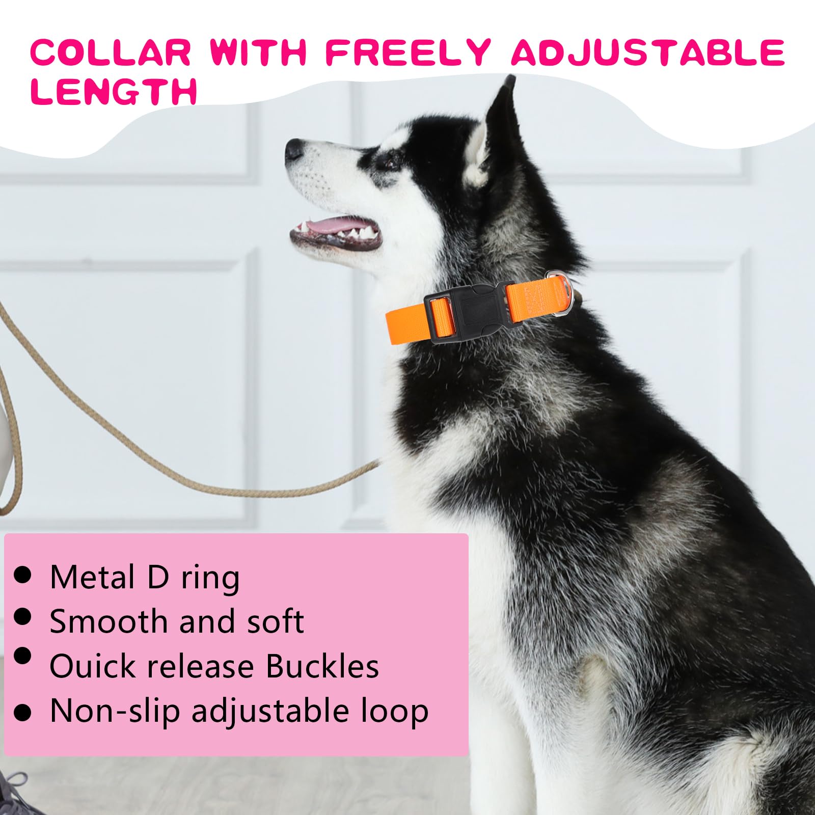 HOFURME nylon collar with neoprene padding for comfortable, chafe-free wear.
