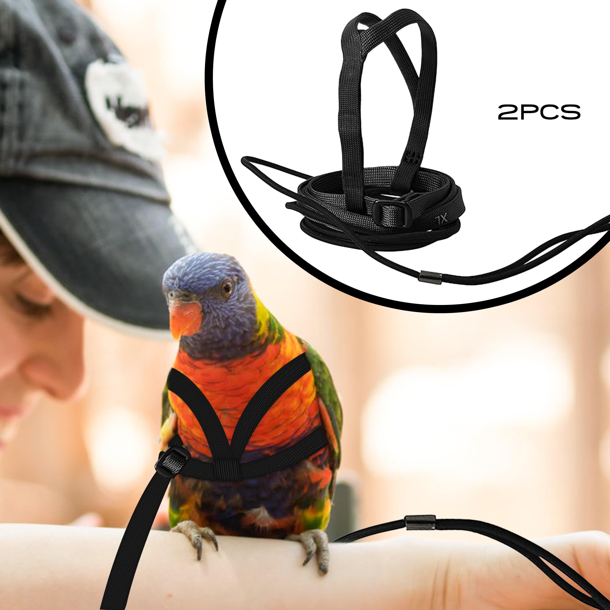 hokable parrot harness worn on bird demonstrates easy-attach vest design for quick outdoor walks